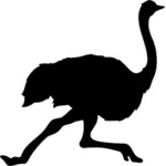 Lopende struisvogel silhouet