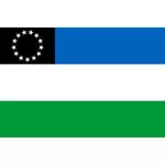 रियो नीग्रो का ध्वज