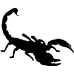 Scorpion silhouet