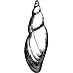 Desenho de concha do mar