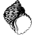 Gambar siluet shell