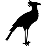 Sekretaris burung silhouette vector gambar