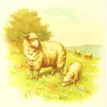Moutons dans un champ