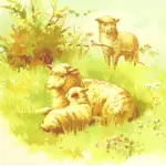 Овцы в поле