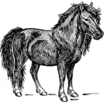 Шетландский пони