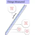 Vektor Klipart měření pravítko s vysvětlením