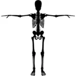 Schwarze Skelett