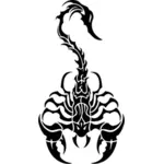 Elegant tribal scorpion