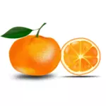 Orange and a slice