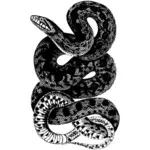 Enveloppé de serpents
