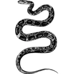 Illustration de serpent