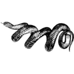 Serpiente de espiral