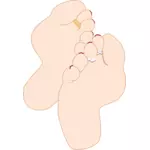 Feet soles vector illustration