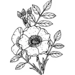 Bunte rose symbol