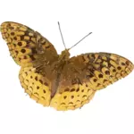 Żółty motyl