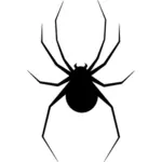 Spider silhouet