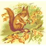 Orava ja puu