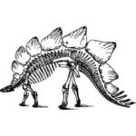 Esqueleto de estegossauro