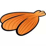 Obrázek letní oranžové mořské mušle