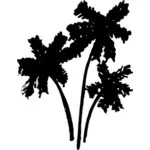 棕榈树的剪影