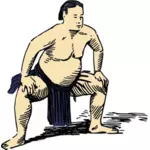 Immagine del lottatore di Sumo