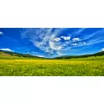 स्प्रिंग घास का मैदान और नीला आकाश