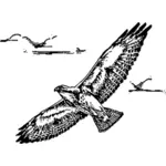 Swainsion hawk in vlucht