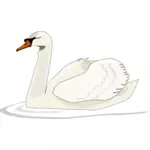 Swan plavání vektor