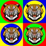 Tête de tigre sur autocollants colorés vector image