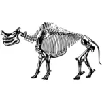 Titanotherium skelet vector afbeelding