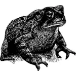 Toad silhouet
