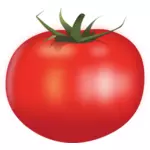 Juicy tomato