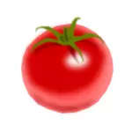 الطماطم