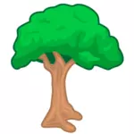 Obraz drzewa