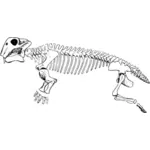 Triyas dönemi Lystrosaurus vektör grafikleri
