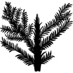 Triassic 식물