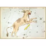 Retro astronomi kartı