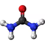 Molecola di urea 3d