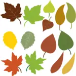 पत्तियों की विविधता