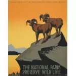 नेशनल पार्क पर्यटन पोस्टर
