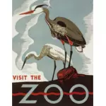 גן החיות בתמונה וקטורית פוסטר