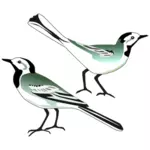 Dois pássaros