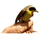 Gele keel vogel op een hand-vectorafbeeldingen
