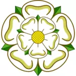 Rosa de Yorkshire