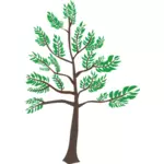 Ilustración del árbol de cedro joven