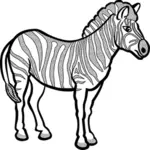 Zebra dalam hitam dan putih gambar vektor