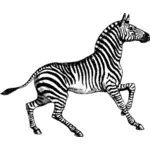 Illustrazione di vettore della zebra