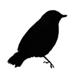Grafika wektorowa zarys czarny ptak