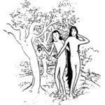 亚当和夏娃的卡通