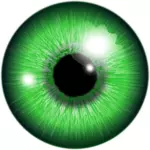 Zielone oko